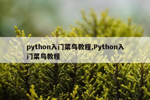 python入门菜鸟教程,Python入门菜鸟教程