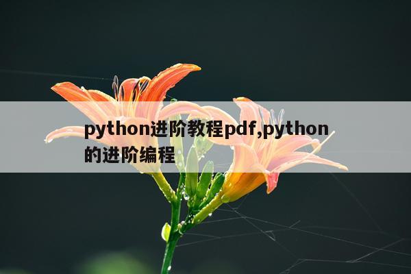python进阶教程pdf,python的进阶编程