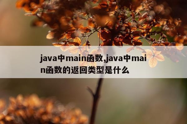 java中main函数,java中main函数的返回类型是什么