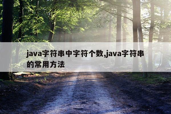 java字符串中字符个数,java字符串的常用方法