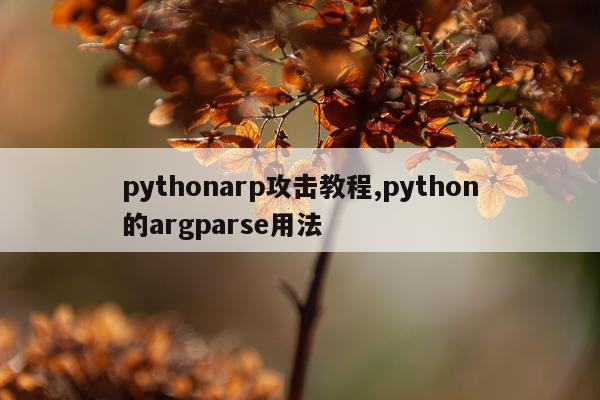 pythonarp攻击教程,python的argparse用法