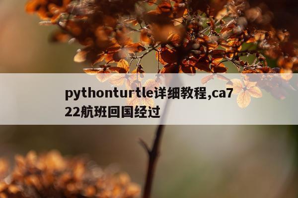 pythonturtle详细教程,ca722航班回国经过