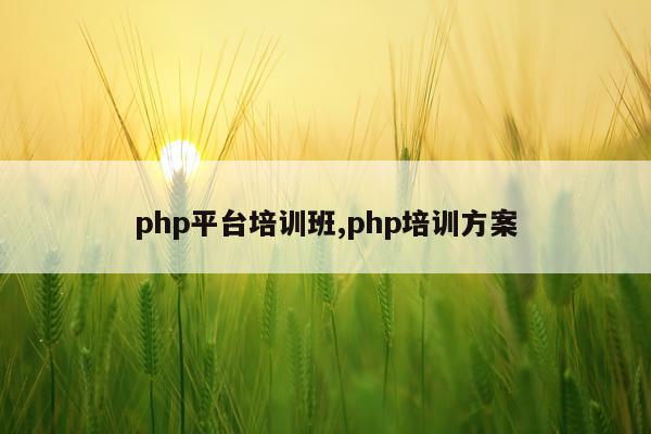 php平台培训班,php培训方案