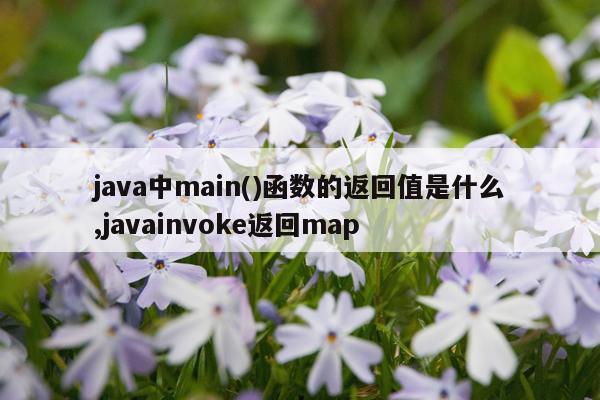 java中main()函数的返回值是什么,javainvoke返回map
