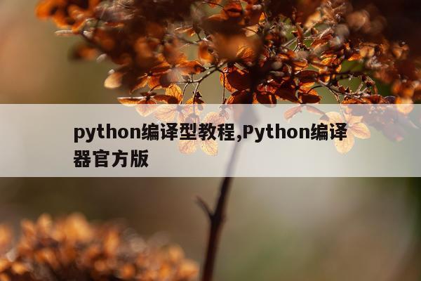 python编译型教程,Python编译器官方版