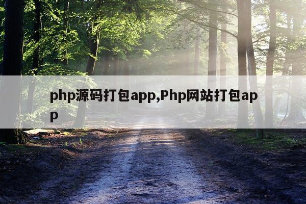 php源码打包app,Php网站打包app