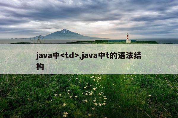 java中,java中t的语法结构