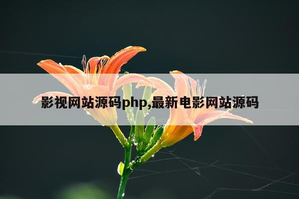 影视网站源码php,最新电影网站源码