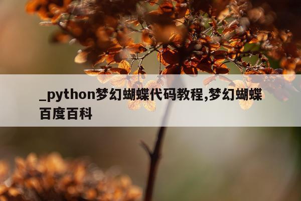 _python梦幻蝴蝶代码教程,梦幻蝴蝶百度百科