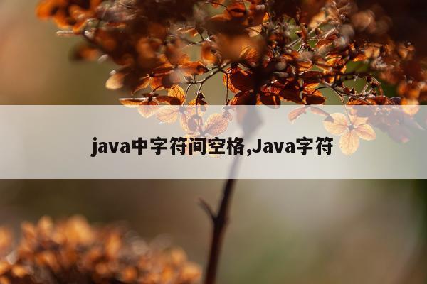 java中字符间空格,Java字符