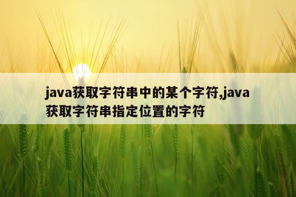 java获取字符串中的某个字符,java获取字符串指定位置的字符