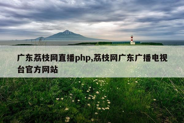 广东荔枝网直播php,荔枝网广东广播电视台官方网站