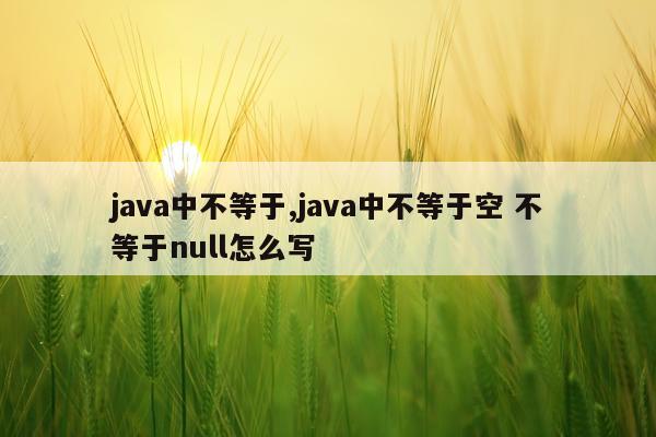 java中不等于,java中不等于空 不等于null怎么写