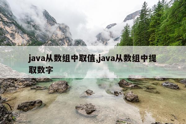 java从数组中取值,java从数组中提取数字