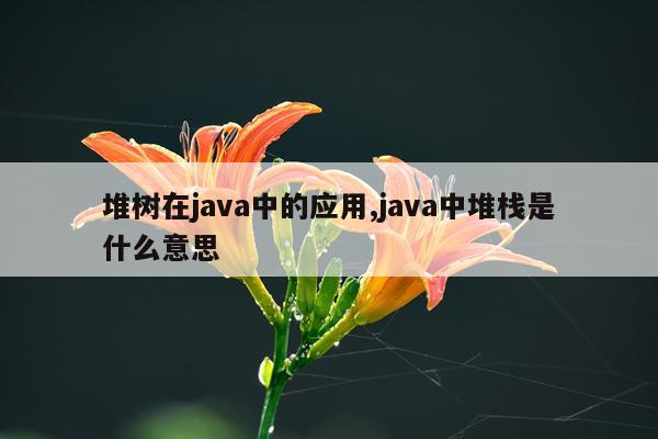 堆树在java中的应用,java中堆栈是什么意思