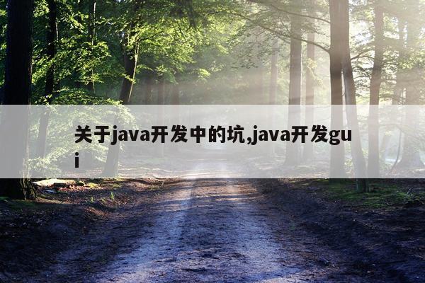 关于java开发中的坑,java开发gui