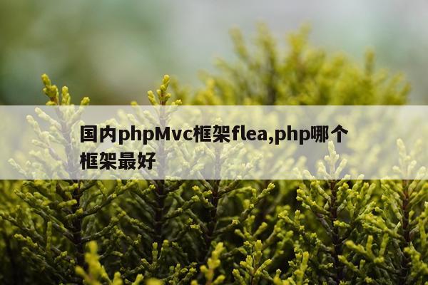 国内phpMvc框架flea,php哪个框架最好