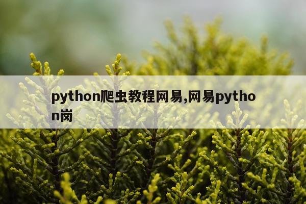 python爬虫教程网易,网易python岗