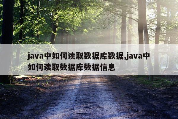 java中如何读取数据库数据,java中如何读取数据库数据信息