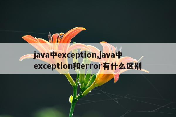 java中exception,java中exception和error有什么区别