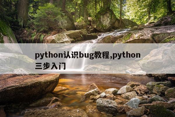 python认识bug教程,python三步入门