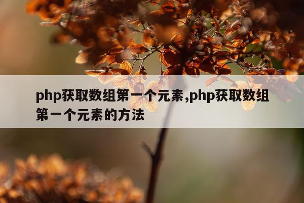 php获取数组第一个元素,php获取数组第一个元素的方法