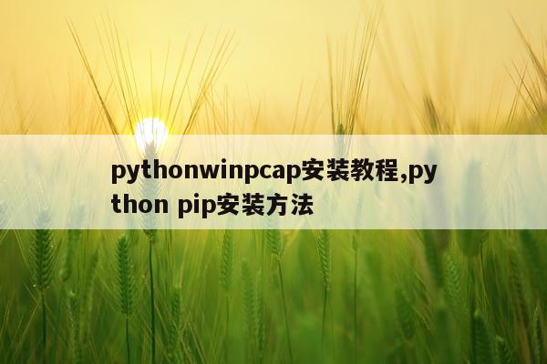 pythonwinpcap安装教程,python pip安装方法