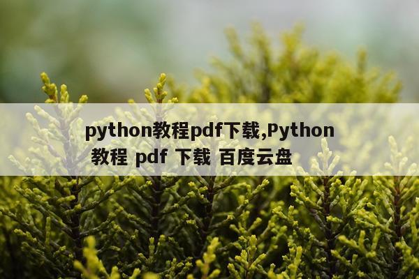 python教程pdf下载,Python 教程 pdf 下载 百度云盘