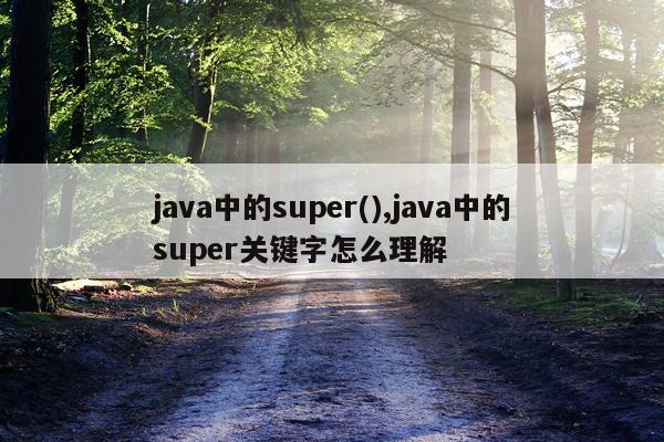 java中的super(),java中的super关键字怎么理解