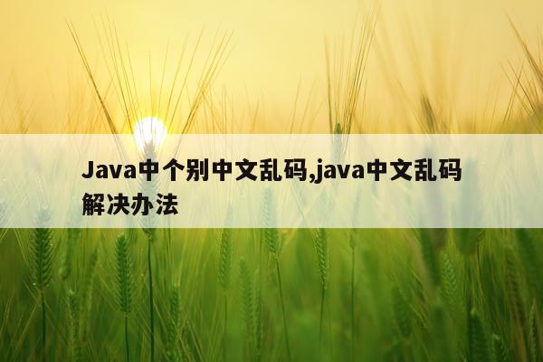 Java中个别中文乱码,java中文乱码解决办法