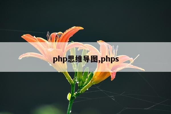 php思维导图,phps
