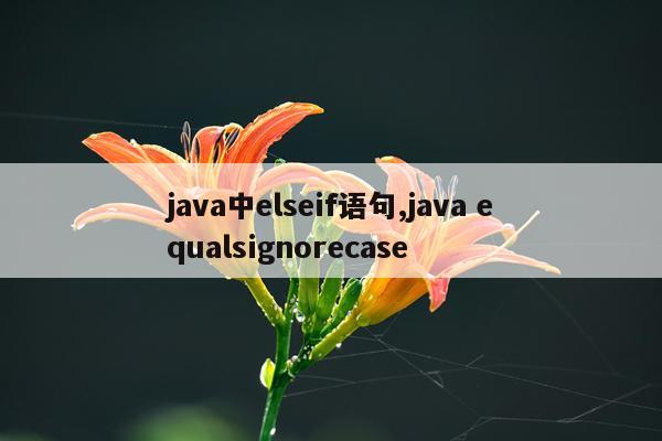 java中elseif语句,java equalsignorecase