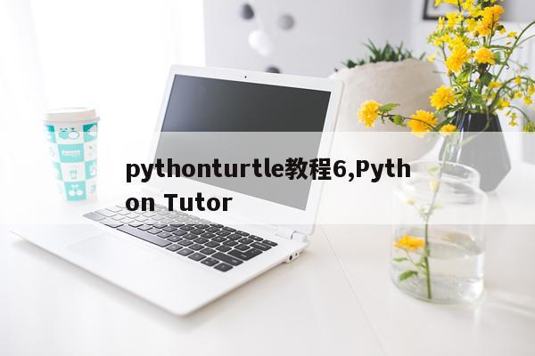 pythonturtle教程6,Python Tutor
