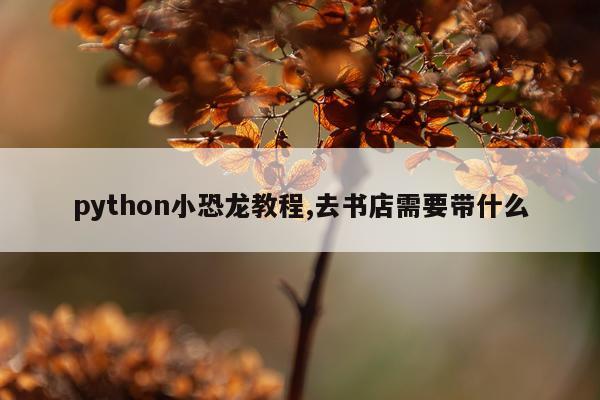 python小恐龙教程,去书店需要带什么