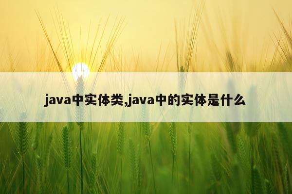 java中实体类,java中的实体是什么
