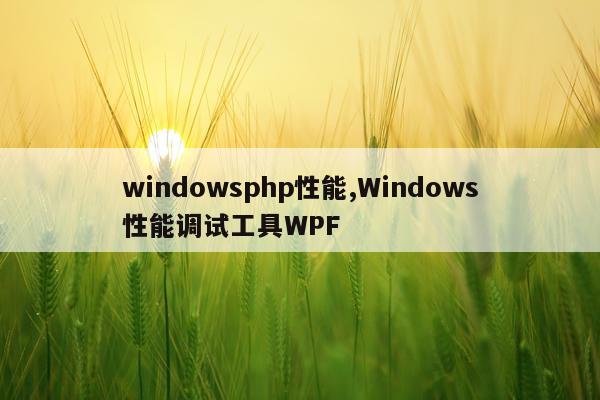 windowsphp性能,Windows性能调试工具WPF