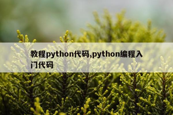 教程python代码,python编程入门代码