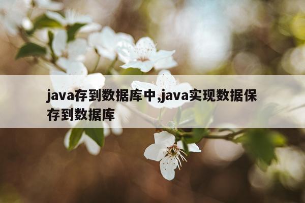 java存到数据库中,java实现数据保存到数据库