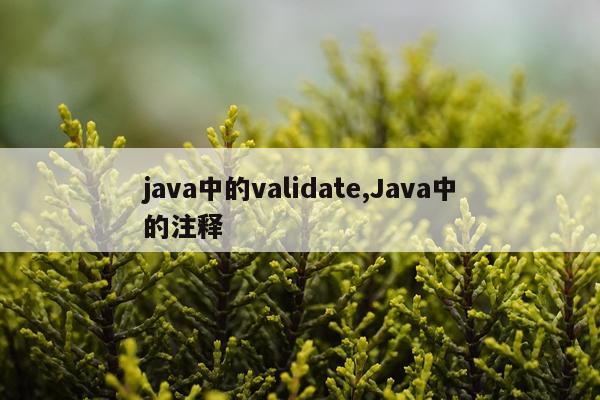 java中的validate,Java中的注释
