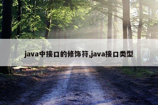 java中接口的修饰符,java接口类型