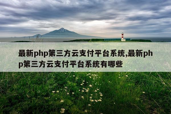 最新php第三方云支付平台系统,最新php第三方云支付平台系统有哪些