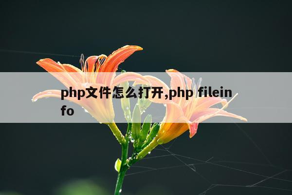 php文件怎么打开,php fileinfo