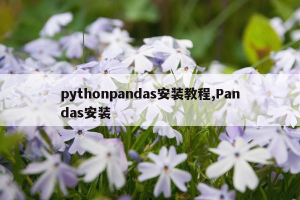 pythonpandas安装教程,Pandas安装