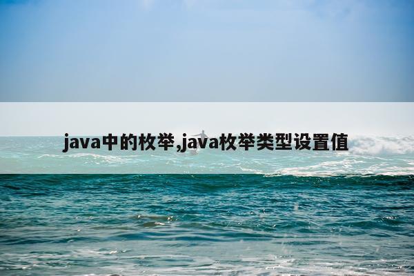 java中的枚举,java枚举类型设置值