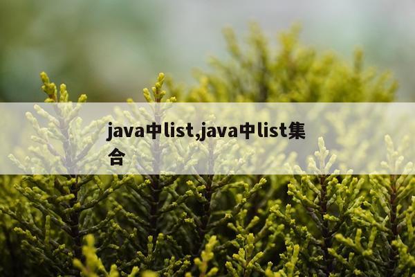 java中list,java中list集合