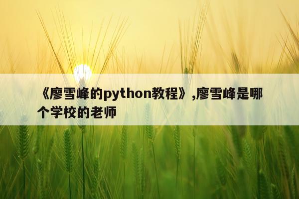《廖雪峰的python教程》,廖雪峰是哪个学校的老师
