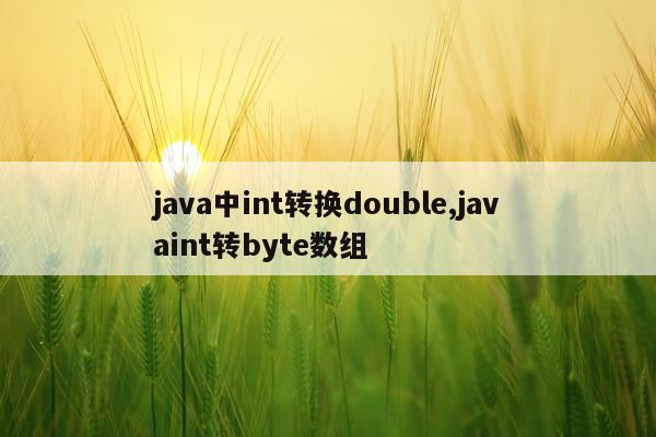 java中int转换double,javaint转byte数组