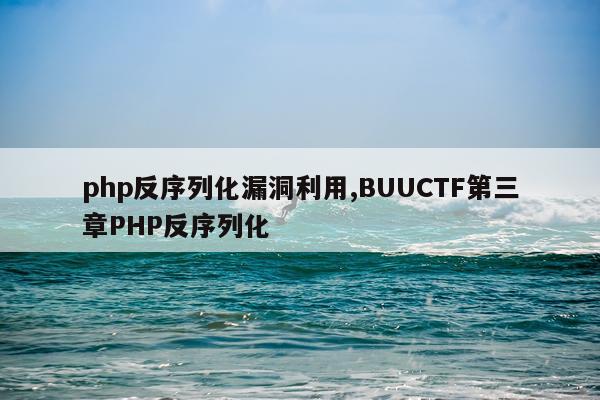php反序列化漏洞利用,BUUCTF第三章PHP反序列化