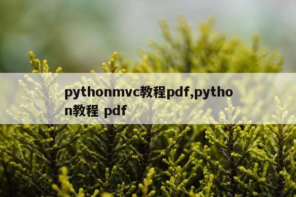 pythonmvc教程pdf,python教程 pdf