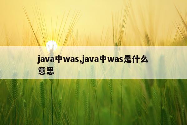 java中was,java中was是什么意思
